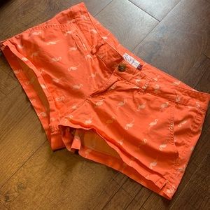 Flamingo Pattern Shorts